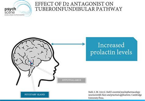 Guide to Antipsychotic Medications - Mechanisms of Action