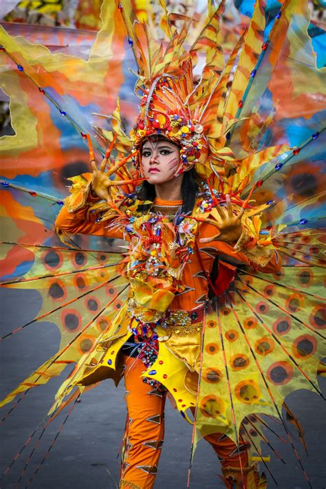 JFC-4074 Jember Fashion Carnaval | Sea creature costume, Fish costume, Carnival costumes