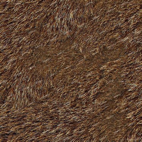 Bear Fur Texture