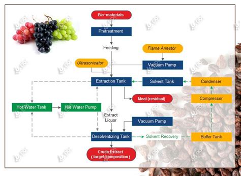 Grape Seed Oil Extraction Methods Comparison|How to choose?