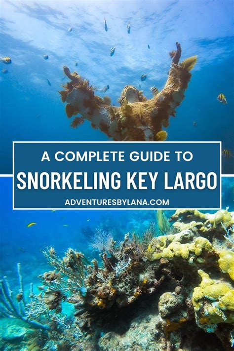 Key Largo Snorkeling: A Detailed Guide on Tours, Spots, & More