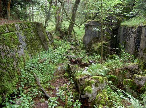 US Armor in the Hürtgen Forest – European Center of Military History