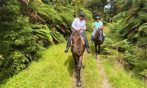 Paparoa National Park trip guide, activities, what to see: Best Bits