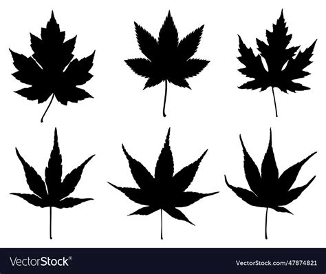 Japanese maple leaf silhouette Royalty Free Vector Image