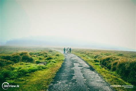 Horton Plains National Park - The Fabulous Landscape in World’s End - 360View.lk - Explore The ...