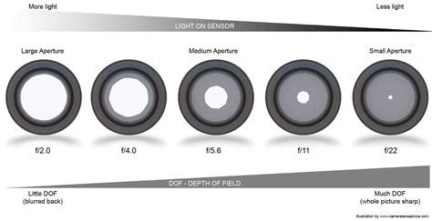 Photography Cheat Sheet 1: What is aperture and how does it work ...