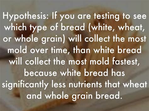 😎 Bread mold experiment data. What Causes the Growth of Bread Mold and How to Prevent It?. 2019 ...