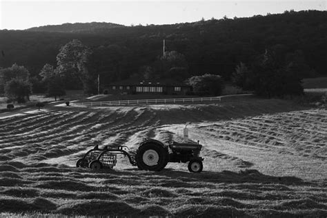 Hay field below a mid-century modern house | IMG_8258 | Tristan ...