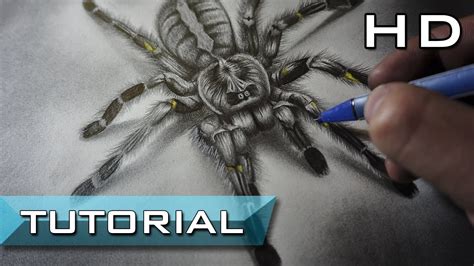 How To Draw A Realistic Spider