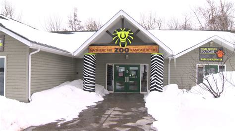 Spring opening delayed for Magnetic Hill Zoo in Moncton - New Brunswick ...