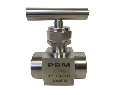 1 Inch Needle Valve, 304 Stainless Steel (Female NPT)