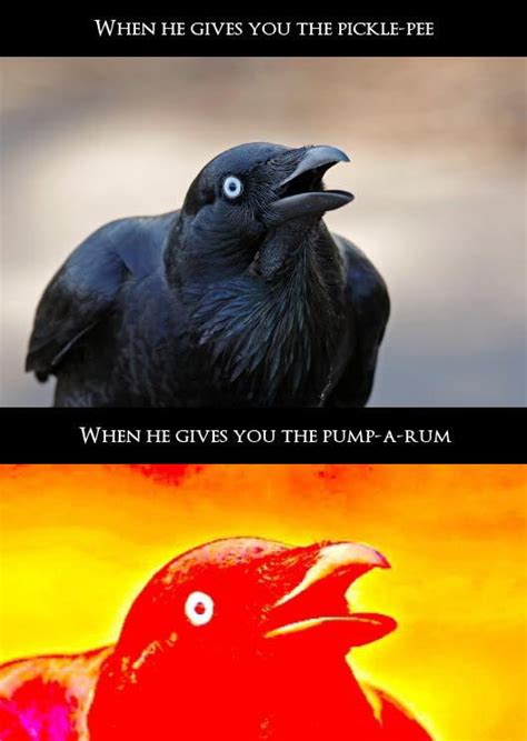 Crow Meme - 9GAG