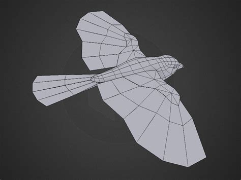 Rigged Low Poly Bird Improvement — polycount