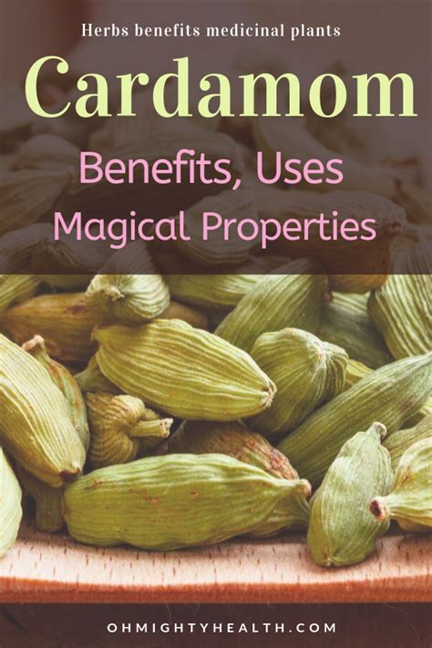 Cardamom: Health Benefits, Uses & Magical Properties | OhMightyHealth | Cardamom benefits, Seeds ...