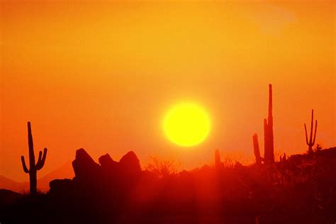 Desert Sun Photograph by Robert Wiley - Pixels