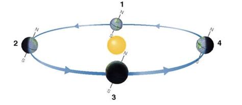 Circumpolar vs. Seasonal Constellations Diagram | Quizlet