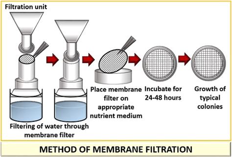 What is Membrane Filtration Method? Definition, Summary & Method ...