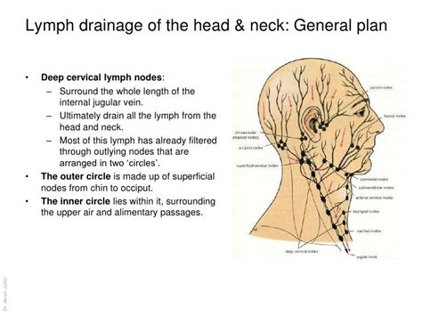 Pin on Upper Cervical Chiropractic