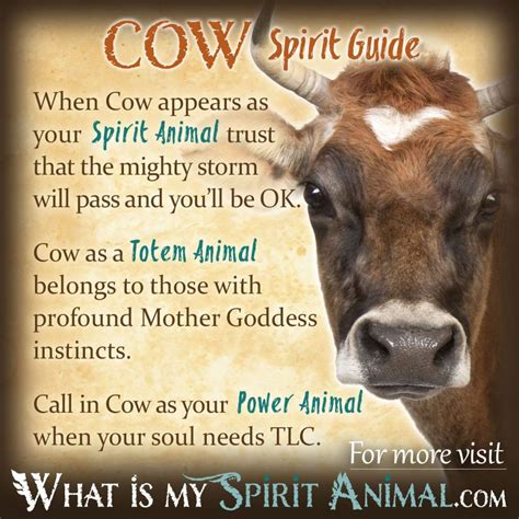 Cow Symbolism & Meaning | Spirit, Totem & Power Animal