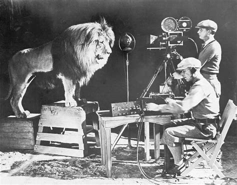 MGM LION. Recording Leo the Lions famous roar for MGM