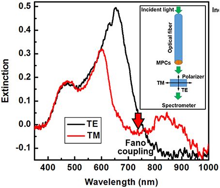 Frontiers | Direct Transfer of Metallic Photonic Structures Onto End ...