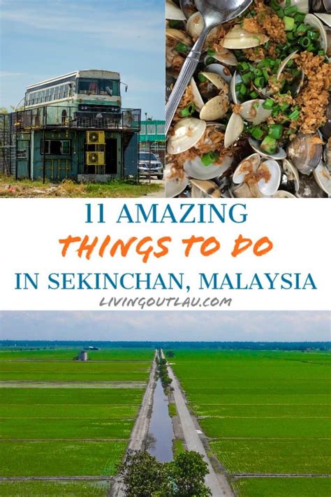 11 BEST Things To Do in Sekinchan: An Epic 2024 Day Trip