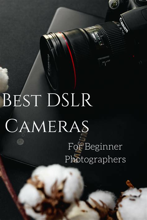 Best DSLR Cameras for Beginners in 2020 | Dslr camera, Dslr photography ...