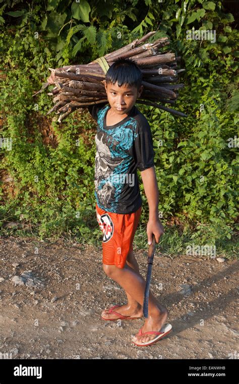 Lao boy collecting wood Stock Photo, Royalty Free Image: 75469111 - Alamy