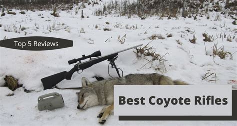 {The 5} Best Coyote Rifles Reviews & Buyer's Guide [July Tested]