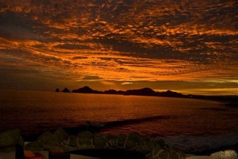 Sunset MonaLisa is one of the best restaurants in Cabo San Lucas