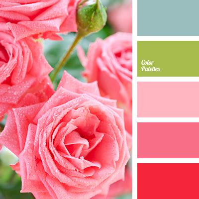 green and pink | Color Palette Ideas