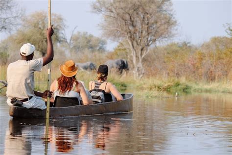 Design your Okavango delta safari online | Timbuktu Travel