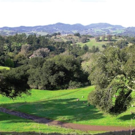 Things to Do Napa Valley for Free with Kids | Hiking at Local Parks