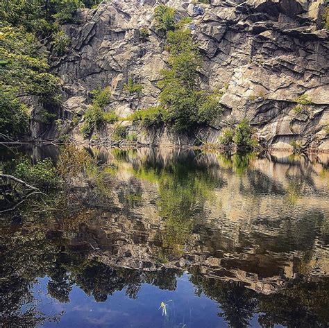 Freetown State Forest. Fall River, MA : hiking