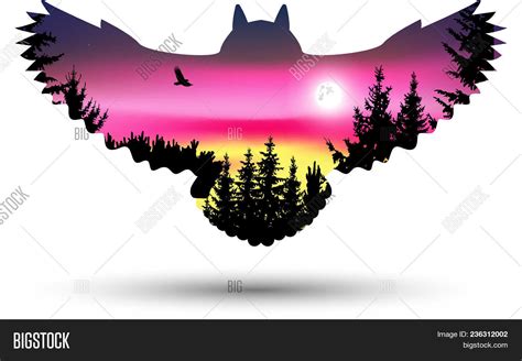 Silhouette Owl Vector & Photo (Free Trial) | Bigstock