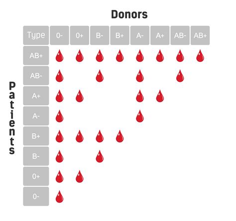 Why do people have different blood types? | House Call Doctor