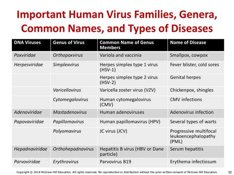 Viruses on the Biological Spectrum - ppt download