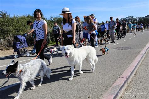 Strut Your Mutt San Francisco with Best Friends Animal Society