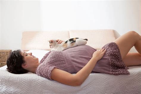 Pregnant Women & Cats: How Common Is Toxoplasmosis?