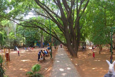 Best Parks In Bangalore For Children | LBB, Bangalore