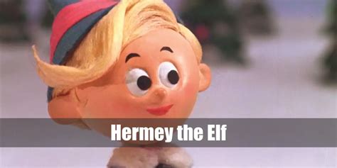 Hermey the Elf (Rudolph the Red-Nosed Reindeer) Costume for Halloween