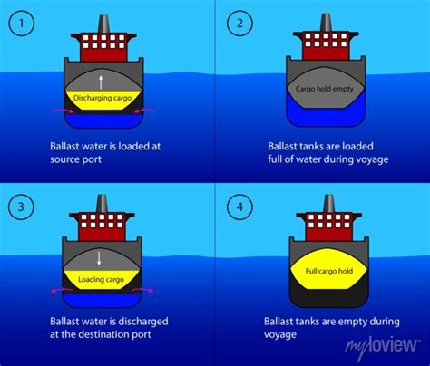 Diagram of the cargo ships ballast tanks, how it works posters for the wall • posters transport ...