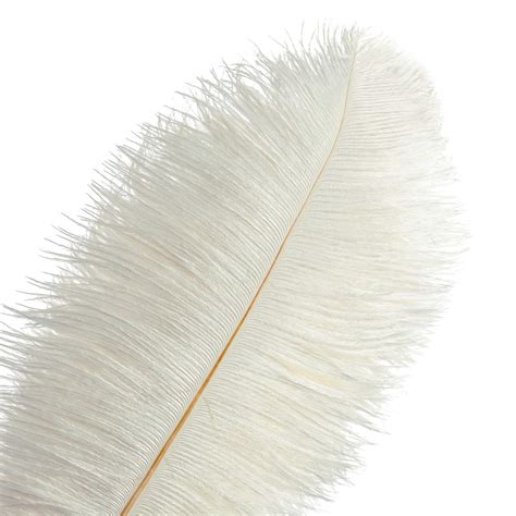 TIPTOP DECORATION Premium Ostrich Feather (White; 23-25 Inch) (1 Piece ...