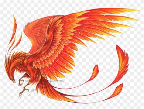 Phoenix Bird, HD Png Download - 1280x898(#493955) - PngFind