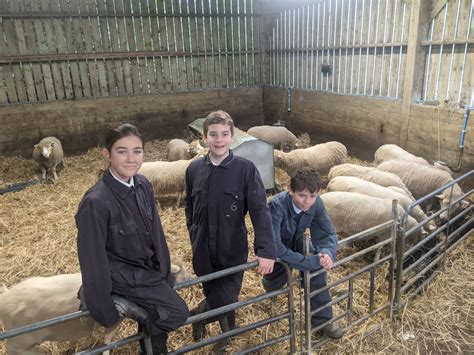 School farm open day - Biosphere