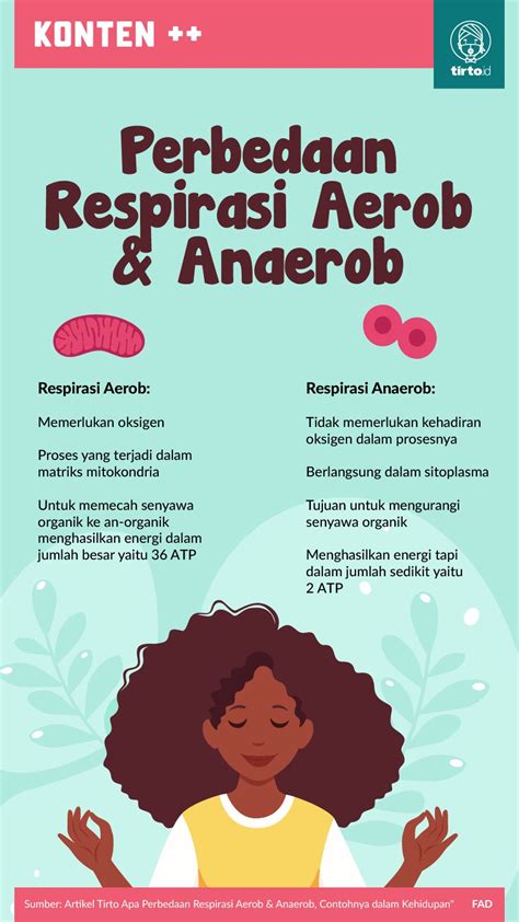 Perbedaan Respirasi Aerob dan Anaerob: Contohnya dalam Kehidupan