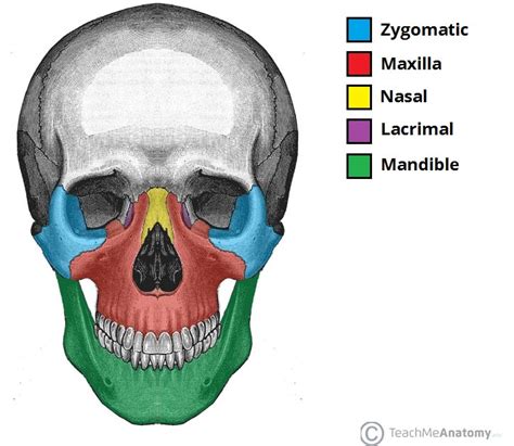 Things your dentist and eye doctor don't want you to know - Nate Covington