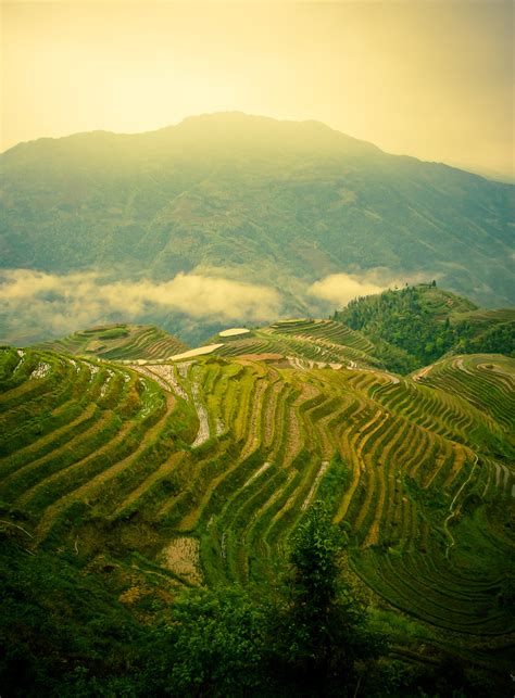 Rice terraces of Longsheng on Behance