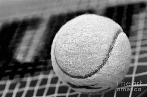 Remember The White Tennis Ball Photograph by Kaye Menner