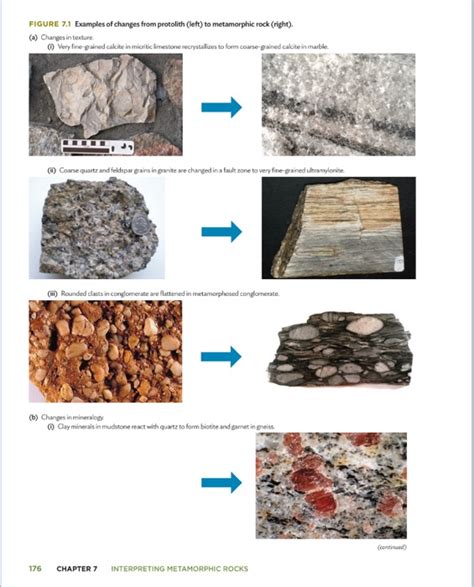 FIGURE 7.1 Examples of changes from protolith (left) | Chegg.com